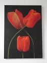 634 - Drie tulpen - Ria B